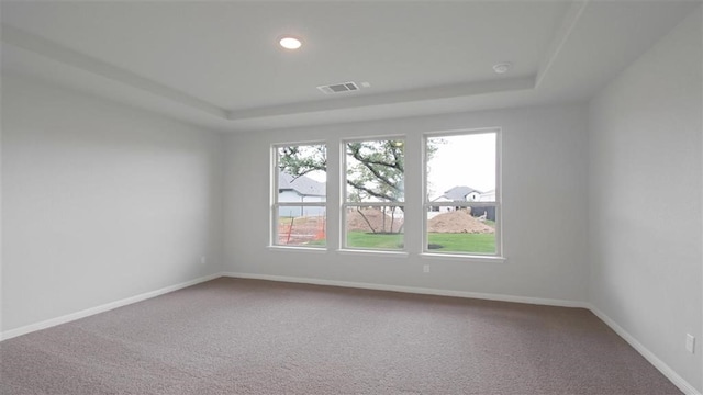 spare room featuring carpet and a raised ceiling