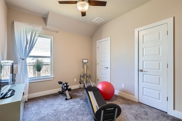 3317 Nighthawk Dive Ln, Pflugerville, TX 78660 - workout room with ceiling fan, carpet floors, plenty of natural light, baseboards, and lofted ceiling