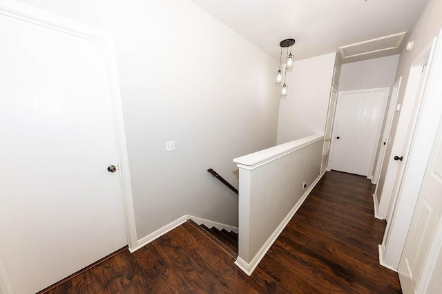 hall featuring dark hardwood / wood-style floors