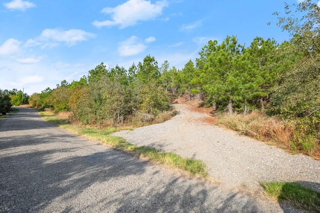 Listing photo 2 for TBD Winfield Thicket Rd, Bastrop TX 78602