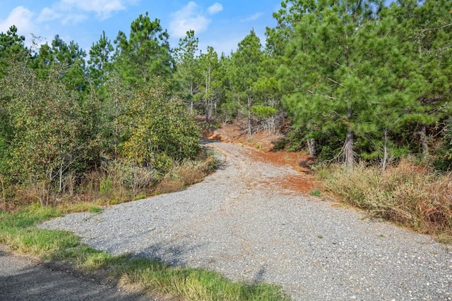 Listing photo 3 for TBD Winfield Thicket Rd, Bastrop TX 78602