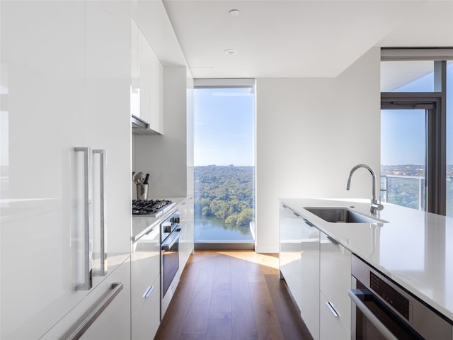 kitchen with dark hardwood / wood-style flooring, white cabinetry, sink, and stainless steel appliances