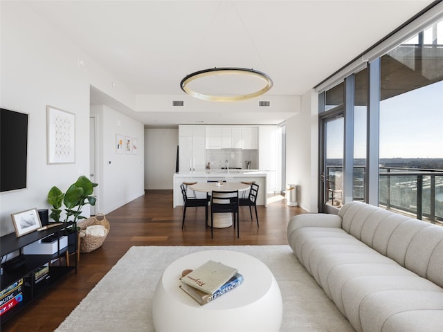 living room featuring sink and dark wood-type flooring