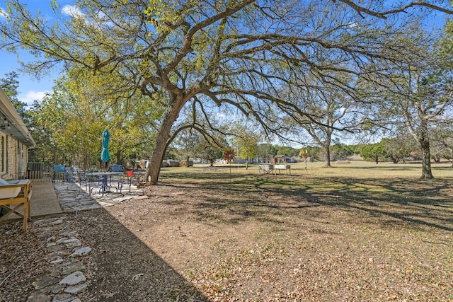 view of yard with a patio area