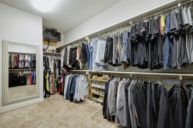 walk in closet featuring carpet flooring