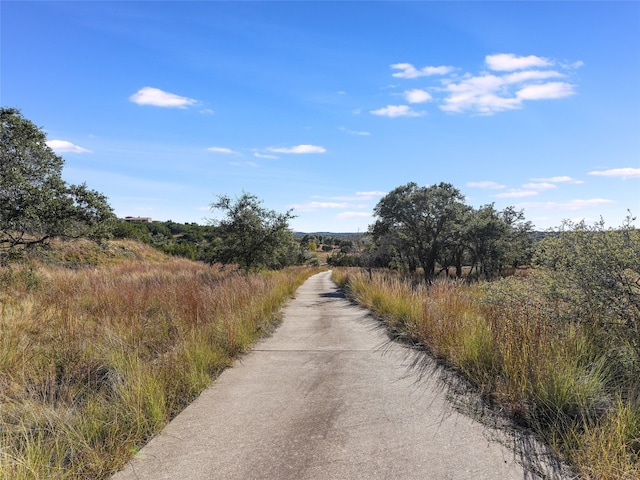 1178 Hidden Creek Dr, Dripping Springs, TX 78620 - view of street