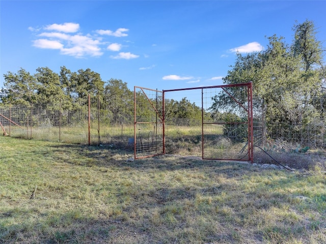 1178 Hidden Creek Dr, Dripping Springs, TX 78620 - view of yard