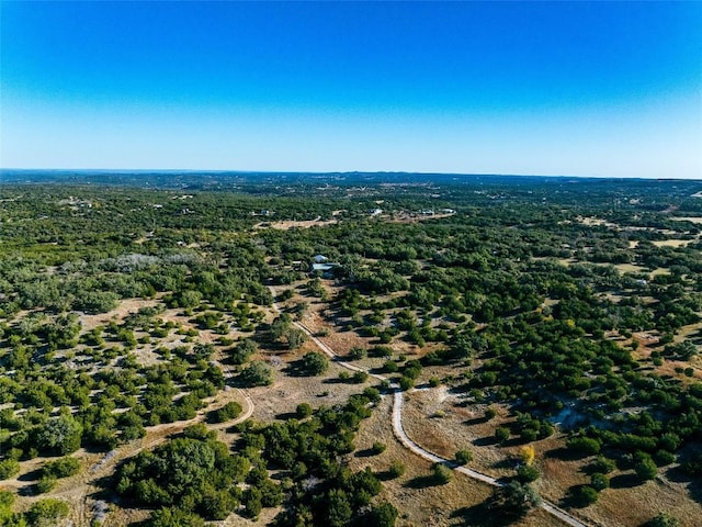 1178 Hidden Creek Dr, Dripping Springs, TX 78620 - drone / aerial view