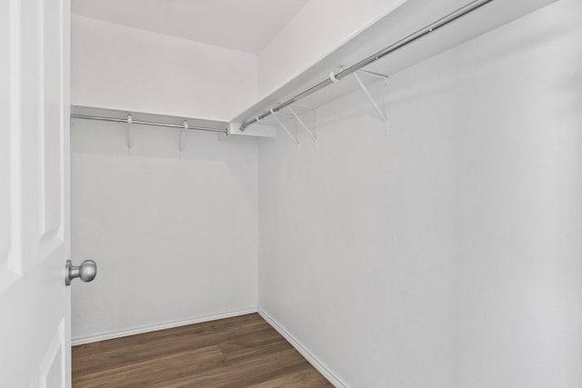 walk in closet with dark hardwood / wood-style flooring