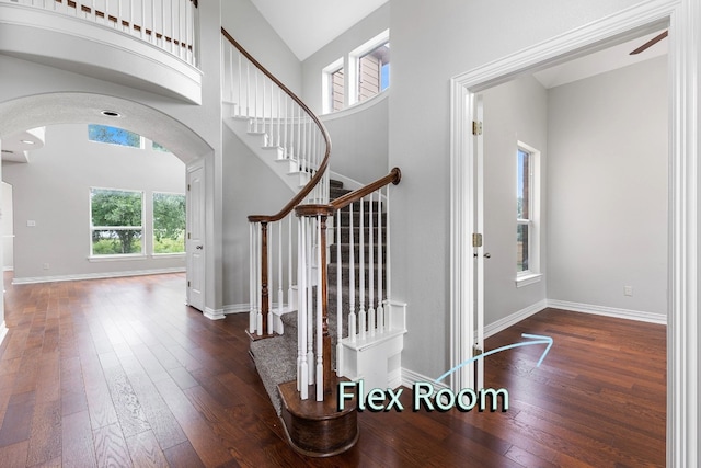 entrance foyer featuring dark hardwood / wood-style flooring and a high ceiling