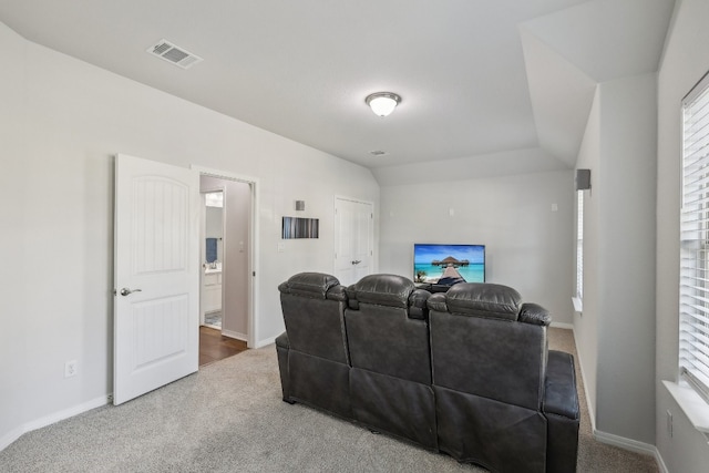 carpeted cinema with vaulted ceiling