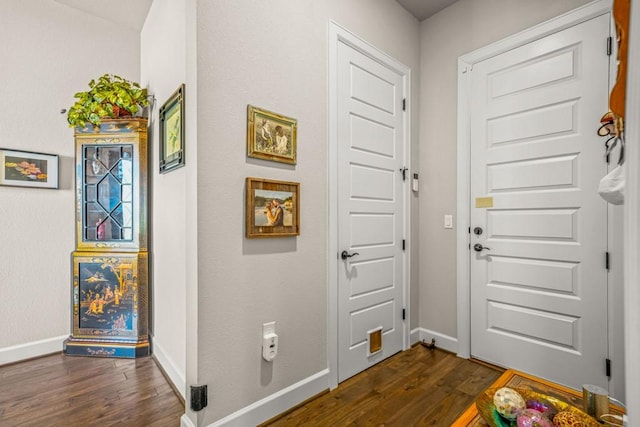 entryway featuring dark hardwood / wood-style flooring