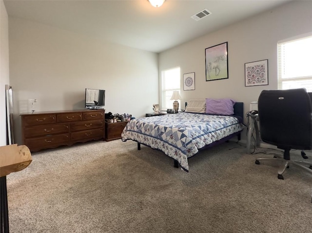 249 El Dorado Rd, Jarrell, TX 76537 - bedroom with multiple windows, light colored carpet, and an office area