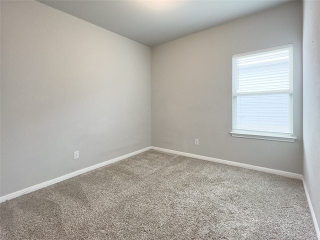 spare room with carpet