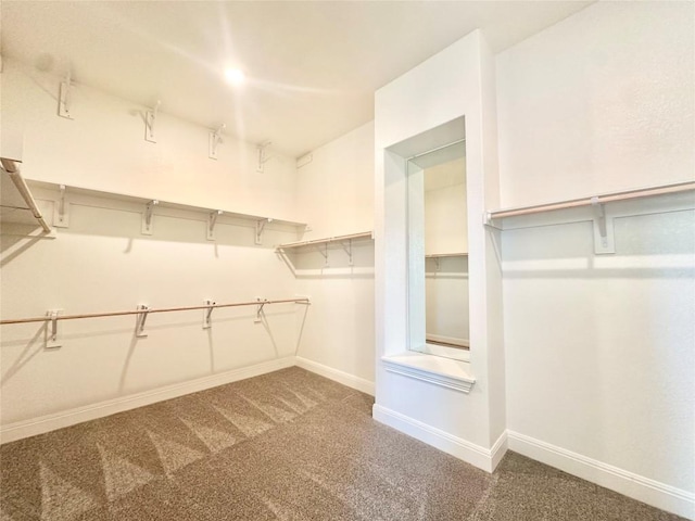 spacious closet with carpet floors