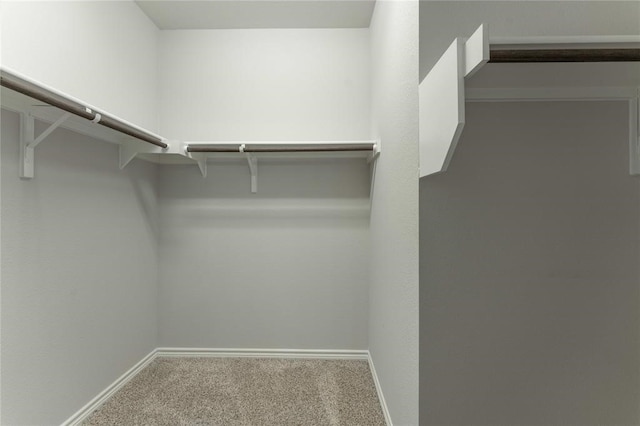 walk in closet with carpet flooring