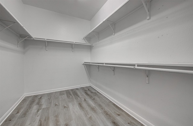 walk in closet with light hardwood / wood-style flooring