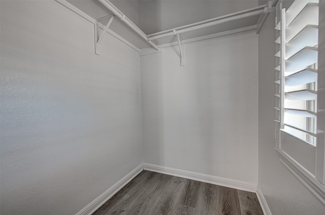 walk in closet featuring dark hardwood / wood-style flooring