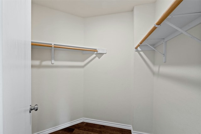 spacious closet featuring hardwood / wood-style flooring