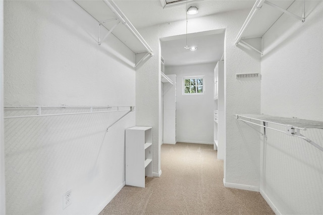 spacious closet with light carpet