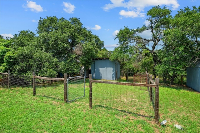 view of yard with a storage unit