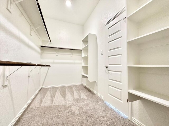 walk in closet featuring carpet flooring