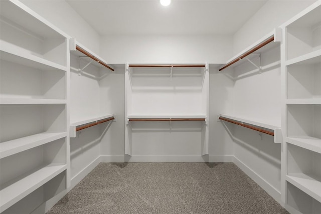 spacious closet with carpet