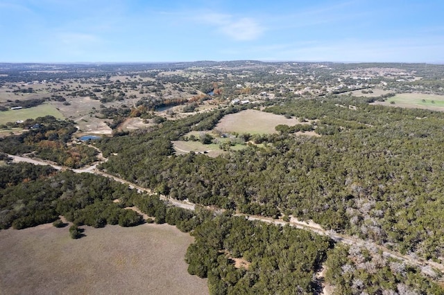 815 Holder Ln, Dripping Springs, TX 78620 - photo 1