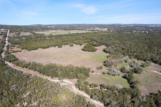 815 Holder Ln, Dripping Springs, TX 78620 - photo 3