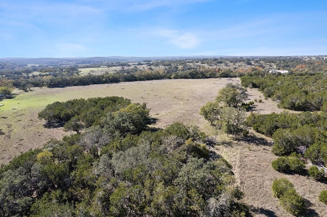 815 Holder Ln, Dripping Springs, TX 78620 - photo 4