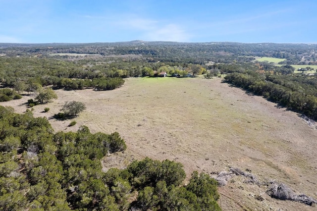815 Holder Ln, Dripping Springs, TX 78620 - photo 5