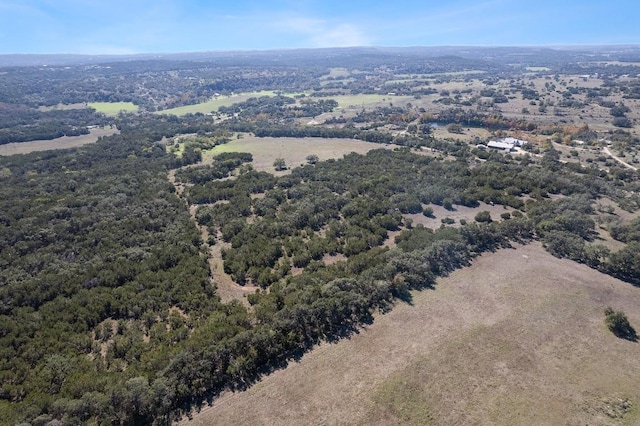 815 Holder Ln, Dripping Springs, TX 78620 - photo 9
