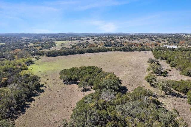 815 Holder Ln, Dripping Springs, TX 78620 - photo 10
