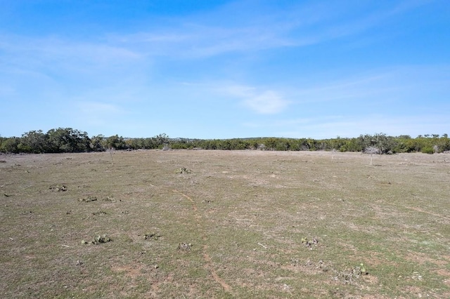 815 Holder Ln, Dripping Springs, TX 78620 - photo 12
