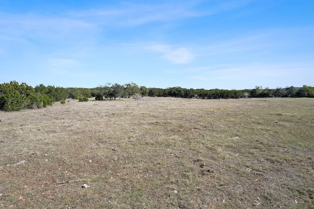 815 Holder Ln, Dripping Springs, TX 78620 - photo 14
