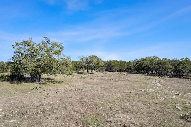 815 Holder Ln, Dripping Springs, TX 78620 - photo 15