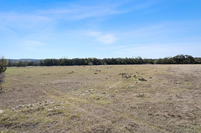 815 Holder Ln, Dripping Springs, TX 78620 - photo 16