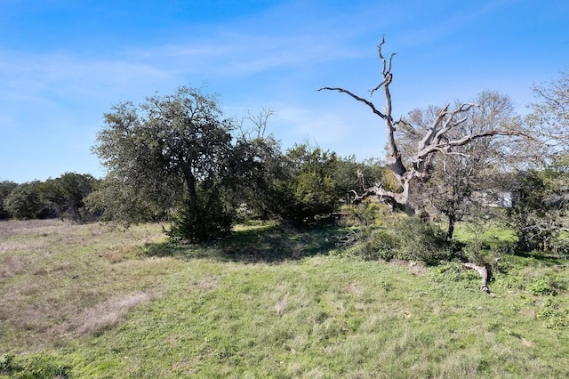 815 Holder Ln, Dripping Springs, TX 78620 - photo 17