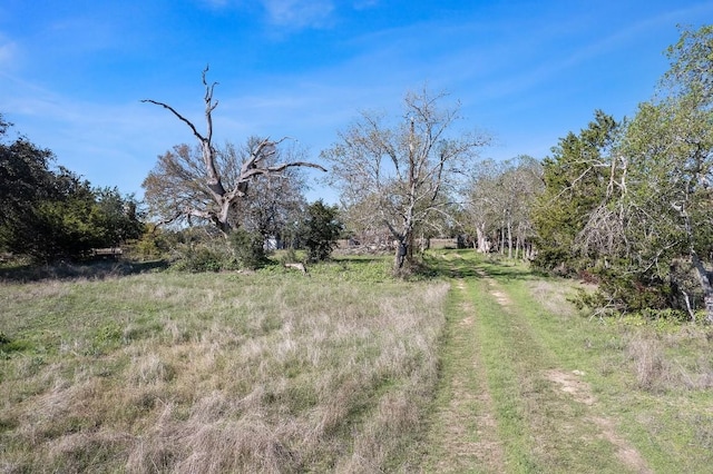 815 Holder Ln, Dripping Springs, TX 78620 - photo 18