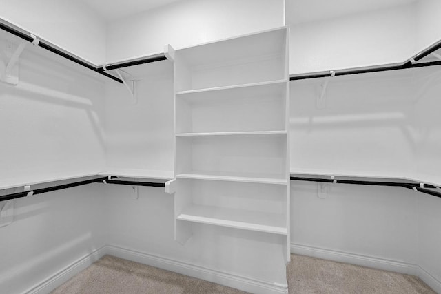 walk in closet featuring light carpet