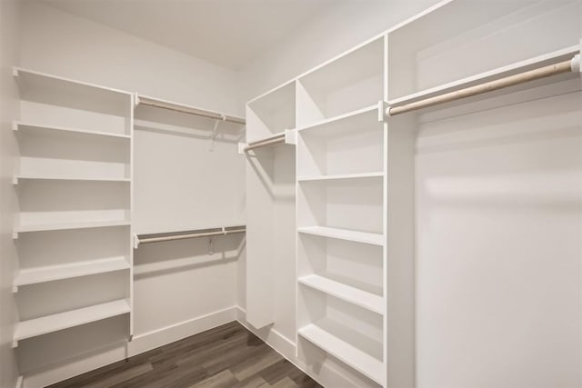 spacious closet featuring dark hardwood / wood-style flooring