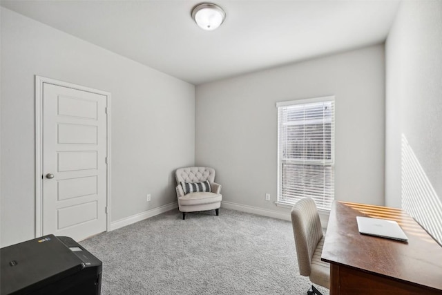 120 Krupp Ave, Liberty Hill, TX 78642 - home office featuring carpet flooring and baseboards