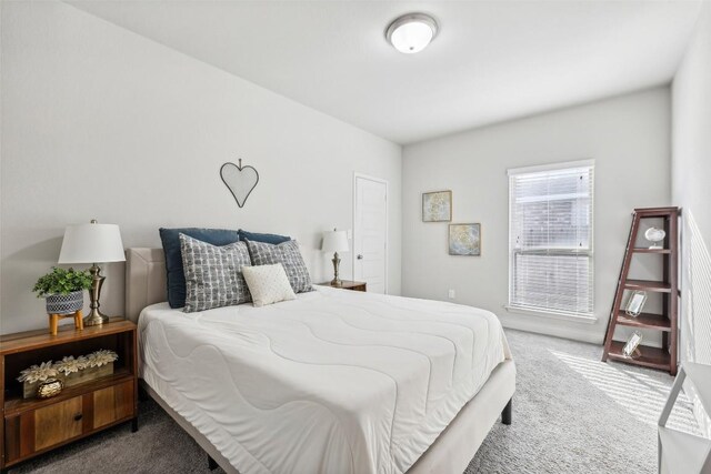 120 Krupp Ave, Liberty Hill, TX 78642 - bedroom featuring carpet