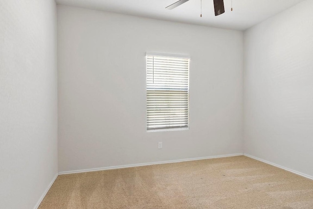 empty room featuring carpet floors