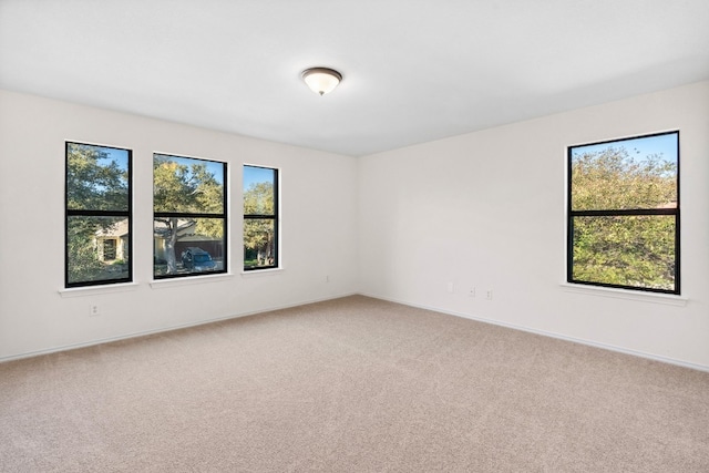 empty room featuring carpet floors and a healthy amount of sunlight