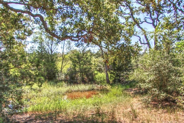 TRACT4 County Road 307, Flatonia, TX 78941