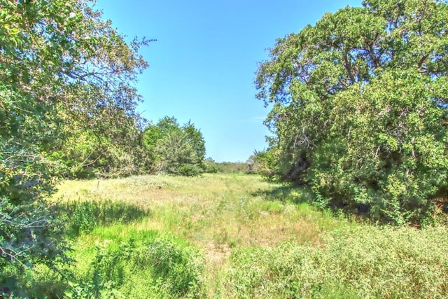 Listing photo 3 for TRACT4 County Road 307, Flatonia TX 78941