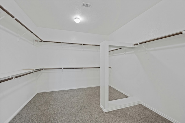 walk in closet with carpet floors