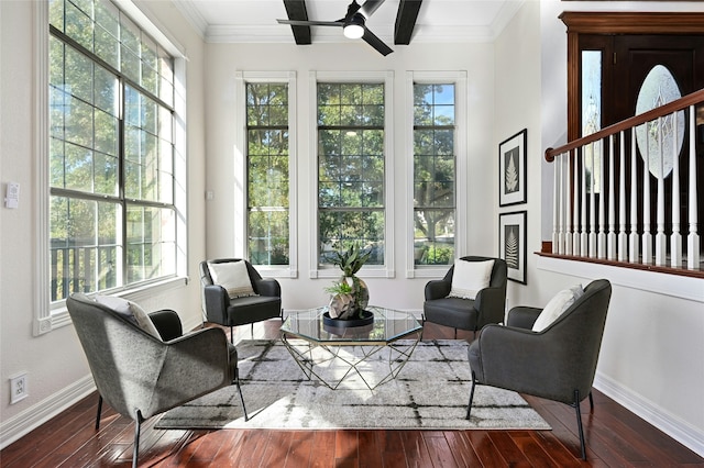 living area featuring beam ceiling, ceiling fan, crown molding, and dark hardwood / wood-style floors