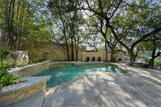 view of swimming pool with a patio